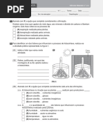 tv6_em1_fichaavaliacao4a