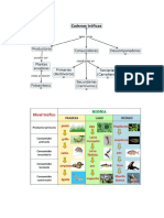 TRAMAS TRÓFICAS leudimar.docx