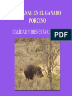 EXPOSICION CANAL DEL CERDO.pdf