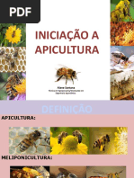 Curso Completo de Apicultura BÃ¡Sica Alane[1]