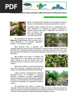 BANANA_DA_TERRA_PODE_CUSTEAR_A_IMPLANTAÃ‡ÃƒO_DE_ÃREAS_DE_CACAU_01.09.2017[1]