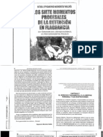 7 Momentos Procesales de La Detención en Flagrancia - Mtro Epigmeo PDF