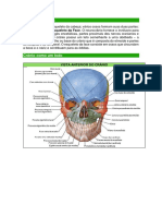 Anatomia Do Aparelho Locomotor - Vertebras