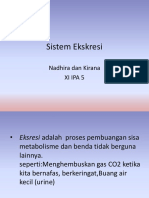Sistem Ekskresi (MIA 5-Nadhira, Kirana)