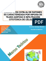 Obesidad FINAL PDF