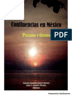 Confluencias en México 2007