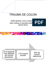 Traumadecolon 130814023931 Phpapp01