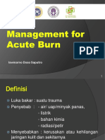 14_seminar_luka_bakar_anestesi.pdf