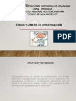 Unidad 1: Áreas y Líneas Investigación