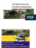 Buenas Practicas en Explotaciones Ganaderas