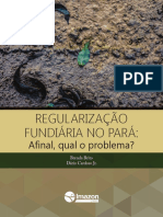 BRITO, Brenda; JUNIOR, Dário Cardoso. Regularização Fundiária No Pará- Afinal, Qual o Problema