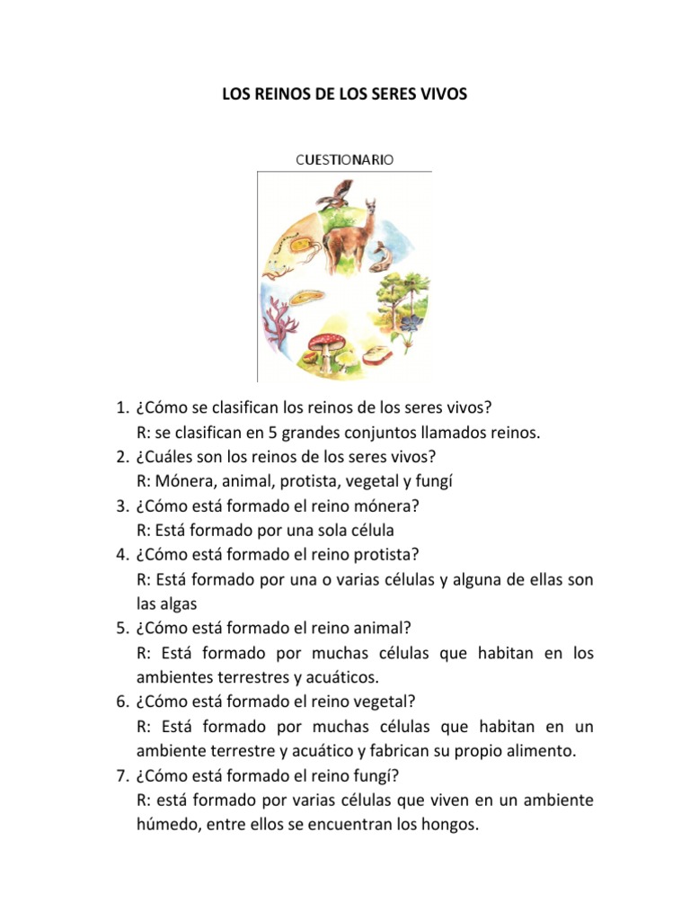 Los Reinos de Los Seres Vivos | PDF | Hogar, jardinería y bricolaje ...