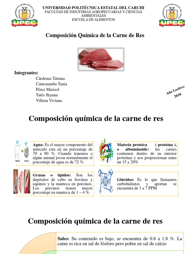 Composición Química de La Carne de