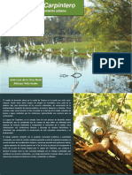 Laguna de Carpintero PDF