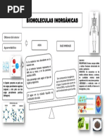 Organizador visual de seres vivos | PDF
