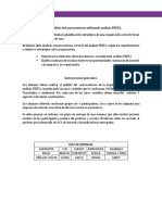 Informe Analisis Pesta