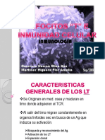 Linfocitosteinmunidadcelular12 Sep 2013 130913222702 Phpapp01