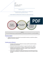 Prezentare 4.3 - Acces Agricol