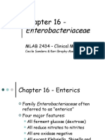 Enterics Family Guide