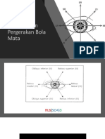 Pemeriksaan Pergerakan Bola Mata