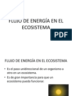 Flujo de Energía en El Ecosistema