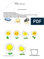 Emotii Floare Cristina Ungureanu Campulung Muscel