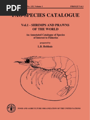 Shrimps And Prawns Of The World Pdf Shrimp Nature
