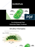 KLOROPLAS