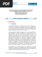 Informe Nº02 Impacto Ambiental Checca - Mazocruz