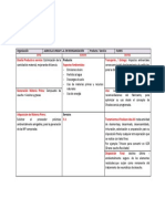 Ciclo de Vida de Un Producto