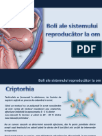 Boli Ale Sistemului Reproducator La Om - PPSX
