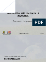 PRODUCCION MAS LIMPIA EN LA INDUSTRIA.pdf