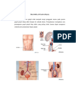 LO Sken 5 - Transplantasi Ginjal