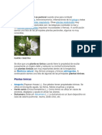 Plantas Pectorales y Antitusivas, Tonicas y Digestivas, Laxantes y Mas