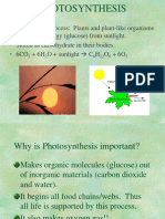 photosynthesis[1] (1).ppt
