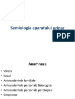 Semiologia Aparatului Urinar