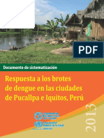 Sistematizacion Brotes Iquitos Pucallpa