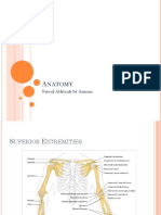 Anatomy by Kak Nurul