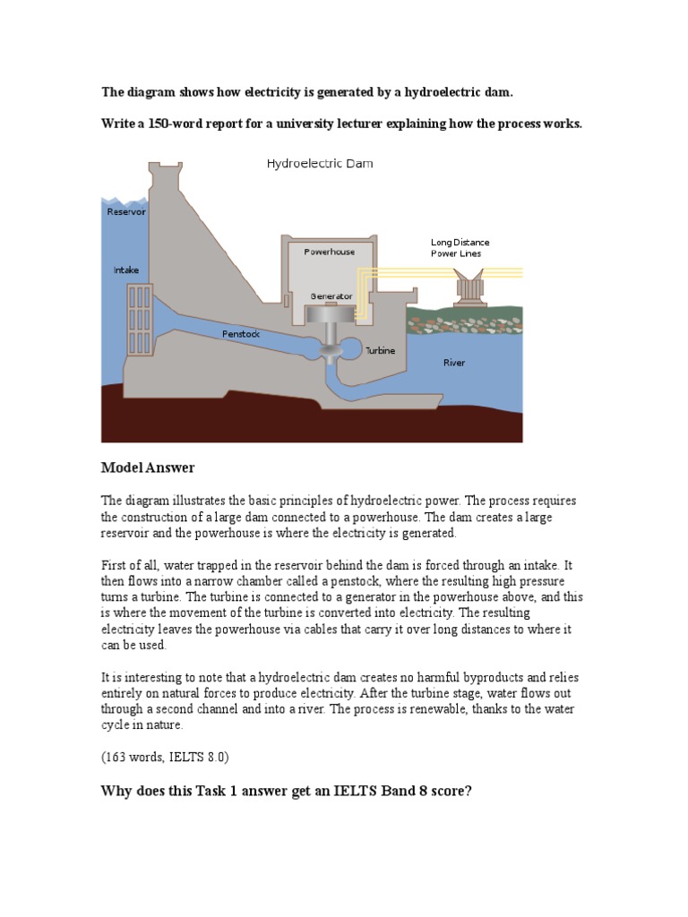 The Diagram Shows How Electricity is Generated by a Hydroelectric Dam