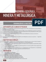 11-maestria-minera.pdf
