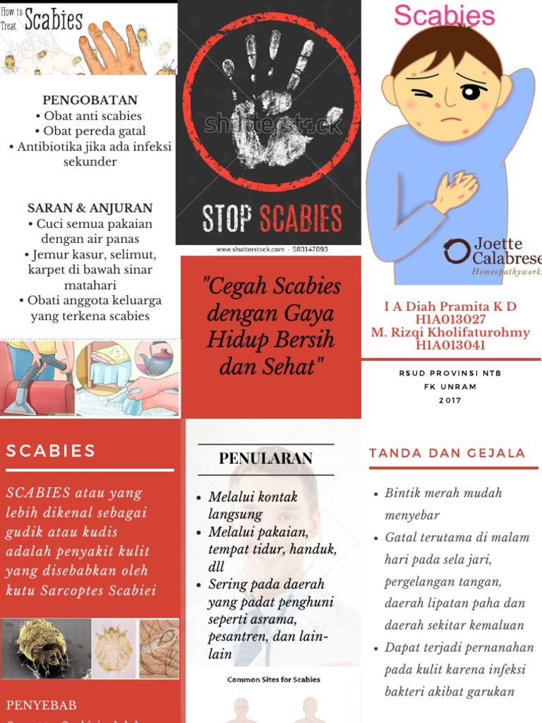 Leflet Scabies PDF | PDF