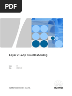 Layer 2 Loop Troubleshooting