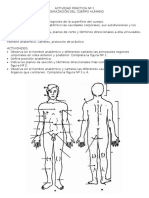 Organización del cuerpo humano