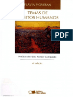 Temas de Direitos Humanos - Sumário