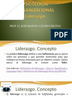 Liderazgo Psicologia Organizacional