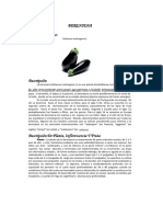 Berenjena PDF