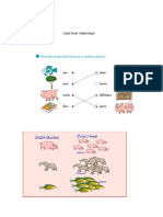 COLECTIVOS Y INDIVUALES.docx