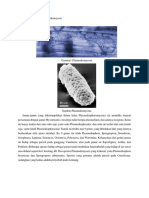 Karakteristik Plasmodiomycota