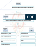 Mapa Conceptual Valvulas