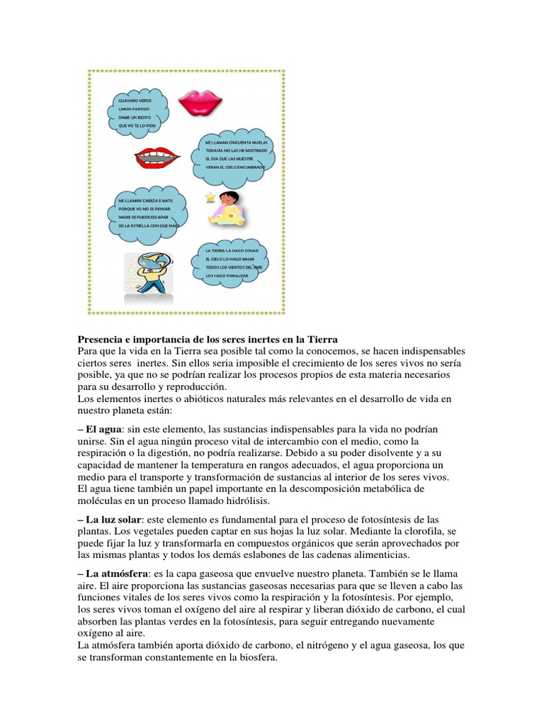 Presencia e Importancia de Los Seres Inertes en La Tierra | PDF ...